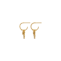 Fauna Örhängen