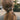 Amelie Barrette Dark Tortoise Barrette Yiwu Canyuan