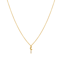 Siva Halsband