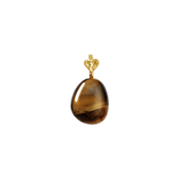 Tiger Eye Earth Hängsmycke