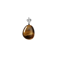 Tiger Eye Earth Hängsmycke