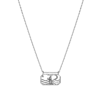 Zodiac Capricorn Halsband 22. Dec - 19. Jan
